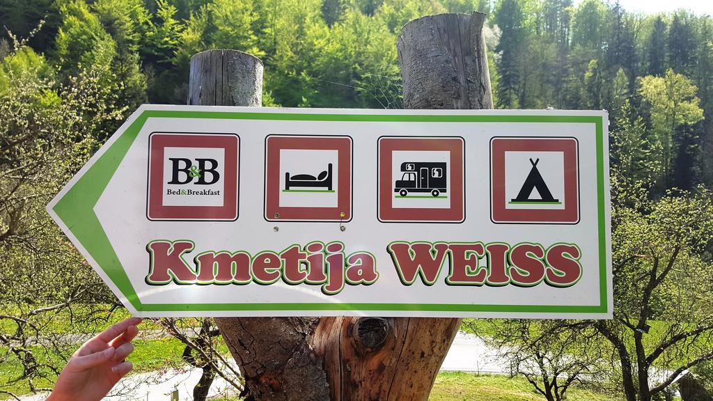 Turisticna Kmetija Weiss Villa Miklavz pri Taboru Ngoại thất bức ảnh