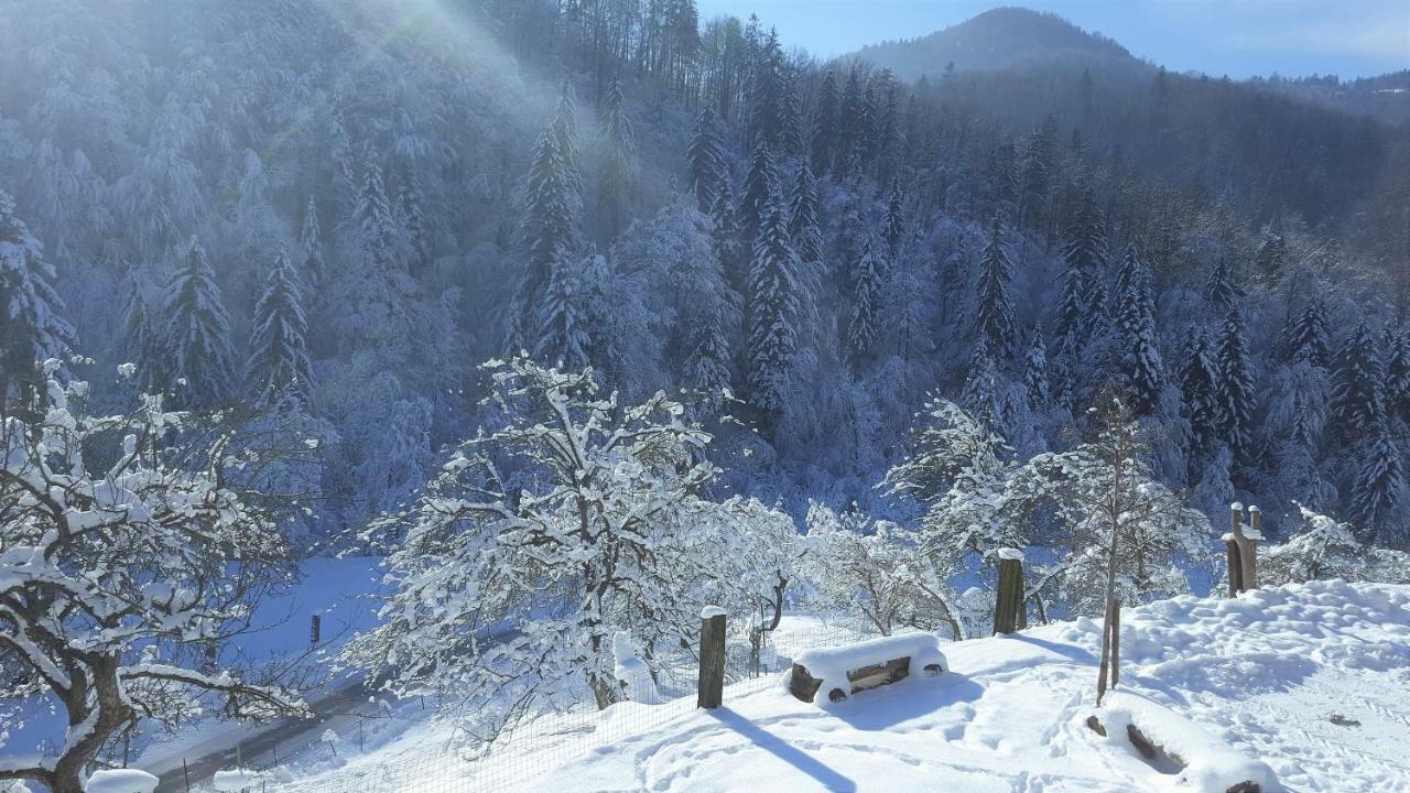 Turisticna Kmetija Weiss Villa Miklavz pri Taboru Ngoại thất bức ảnh